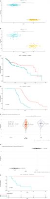 Necroptosis is Related to Anti-PD-1 Treatment Response and Influences the Tumor Microenvironment in Head and Neck Squamous Cell Carcinoma